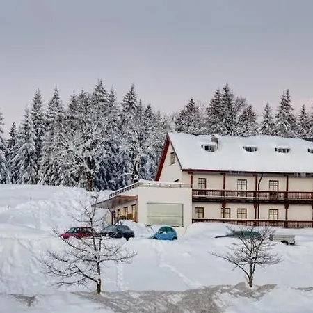 Alpenhotel Boedele - Luxus 01 Hergatz